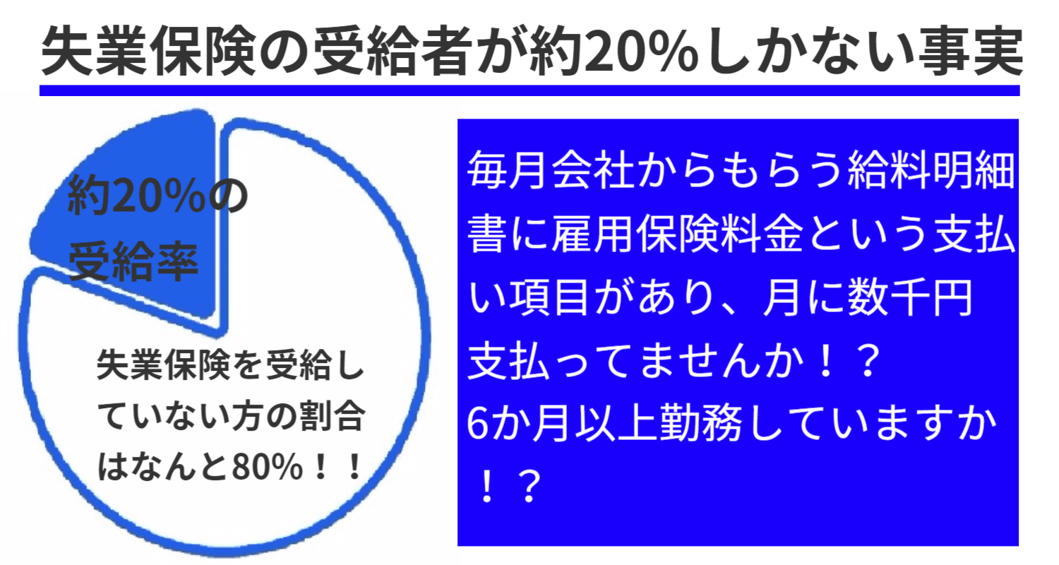 5大特典その2 失業保険受給サポート 失業保険受給者が約20%しかいない現実 受給例 国から50万円が手取りで入金されました